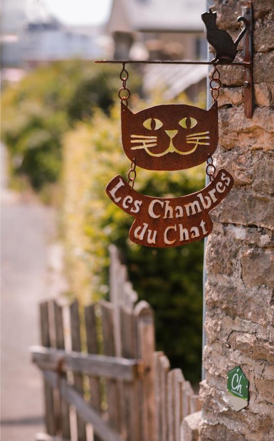 Les Chambres Du Chat Sainte-Cécile Exterior foto